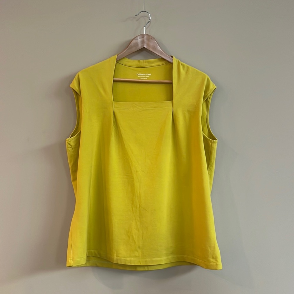 Coldwater Creek Square Neck Cap Sleeve Stretch Top Size: 1X/18